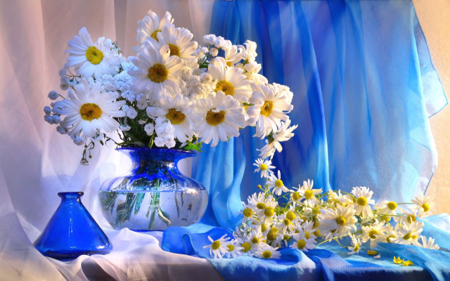 Blue vase white daisies on free wallpaper for desktop - medium preview image