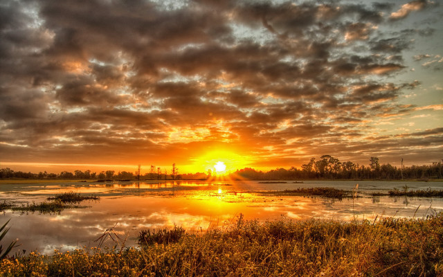 Sunset lake clouds trees bushes free wallpaper for desktop - medium preview image