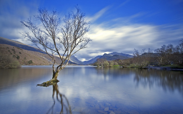 Lone tree lake mountains clouds free wallpaper for desktop - medium preview image