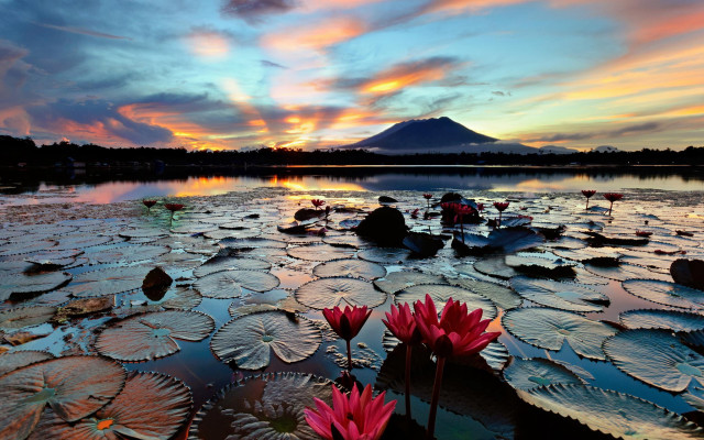 Lake mountain sunset lily pads free wallpaper for desktop - medium preview image