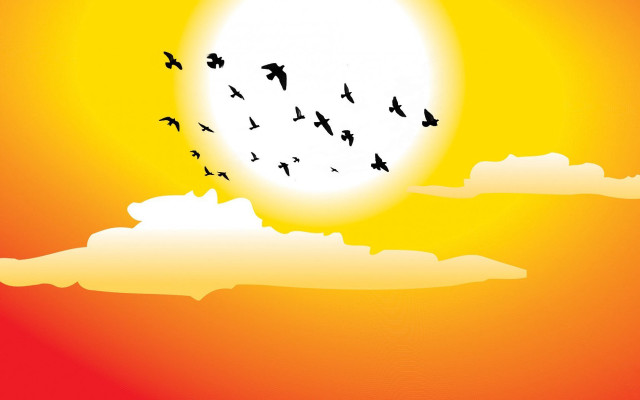 Birds sunset ocean silhouette mountain free wallpaper for desktop - medium preview image