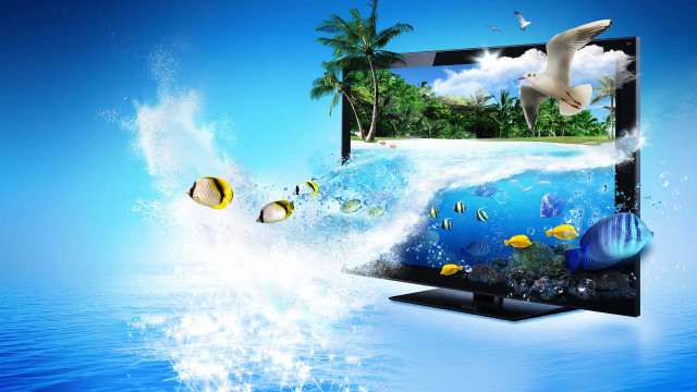 Tropical island ocean bird fish free wallpaper for desktop - medium preview image