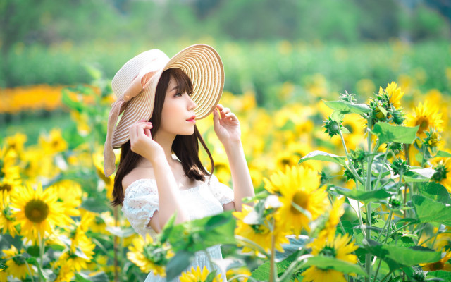 Sunflower field woman hat white free wallpaper for desktop - medium preview image