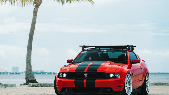 Red sports car palm beach free wallpaper for desktop - medium preview image
