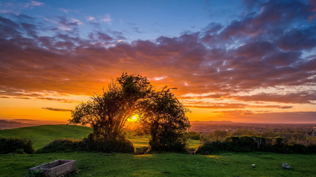 Tree sunset clouds horizon landscape free wallpaper for desktop - medium preview image