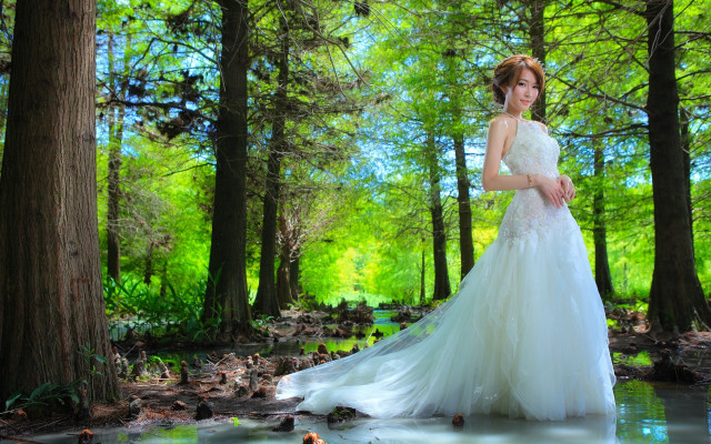 Woman wedding dress forest stream free wallpaper for desktop - medium preview image