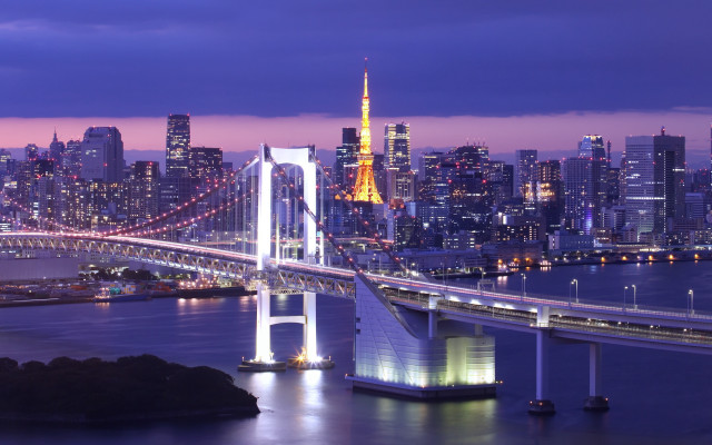 City skyline bridge tower night free wallpaper for desktop - medium preview image