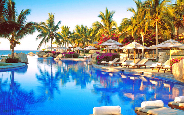 Luxury pool ocean beach palm free wallpaper for desktop - medium preview image