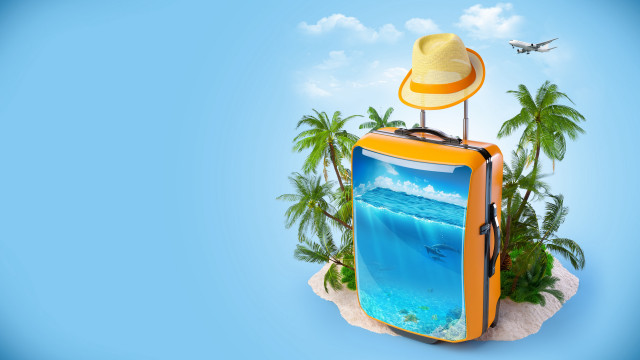 Suitcase dolphin hat beach palm free wallpaper for desktop - medium preview image