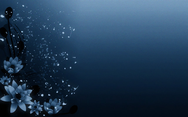 Blue flowers waterdroplets black white free wallpaper for desktop - medium preview image