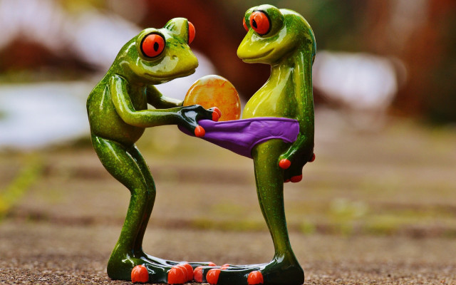 Frogs playing with ball tennis free wallpaper for desktop - medium preview image