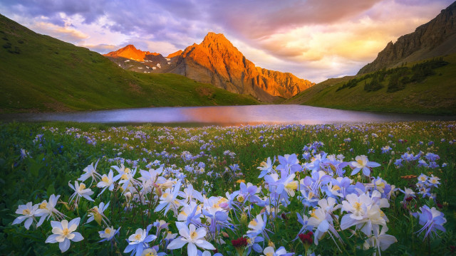 Flower field mountain lake sunset free wallpaper for desktop - medium preview image
