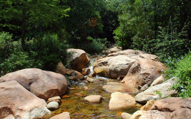 Forest stream rocks trees night free wallpaper for desktop - medium preview image