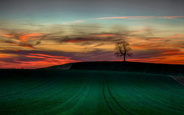 Lone tree hill sunset mountains free wallpaper for desktop - medium preview image