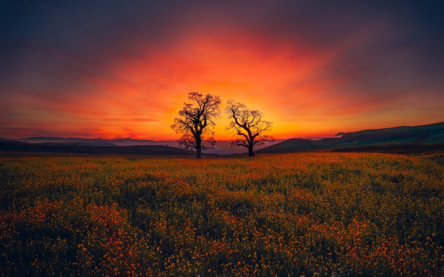 Sunset mountain lake tree sky free wallpaper for desktop - medium preview image