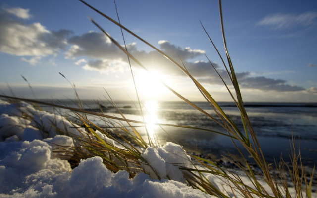 Sunshine clouds beach grass snow free wallpaper for desktop - medium preview image