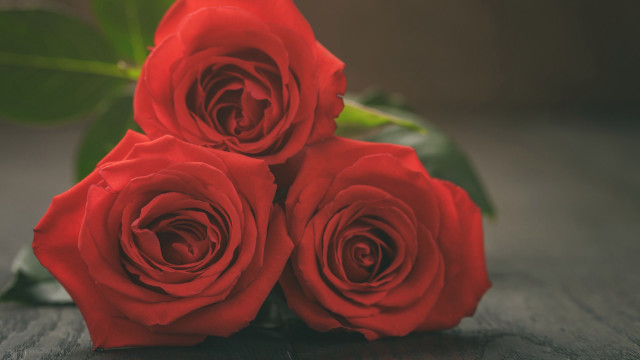 Red roses bouquet flower still free wallpaper for desktop - medium preview image