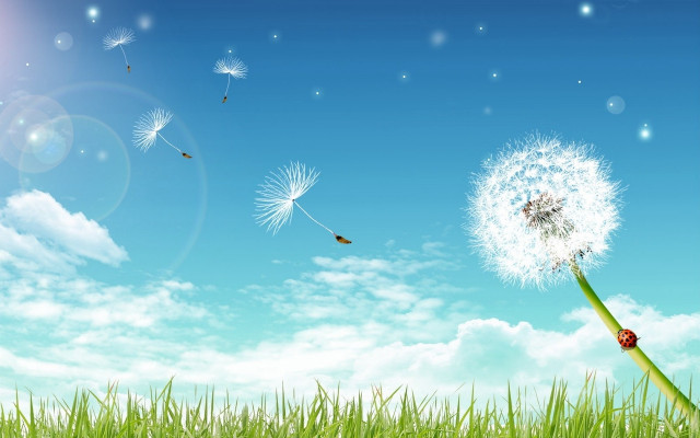 Dandelion wind blue sky clouds free wallpaper for desktop - medium preview image