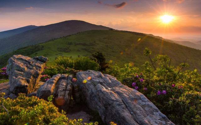 Sunset mountain rock flowers landscape free wallpaper for desktop - medium preview image