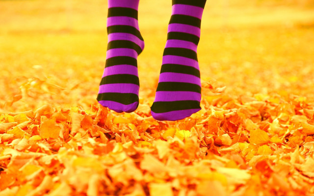 Person striped socks leaves green #2 free wallpaper for desktop - medium preview image