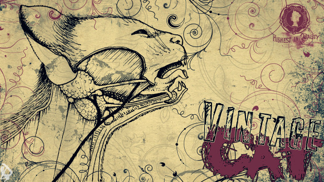 Dog mustache name tag chest free wallpaper for desktop - medium preview image