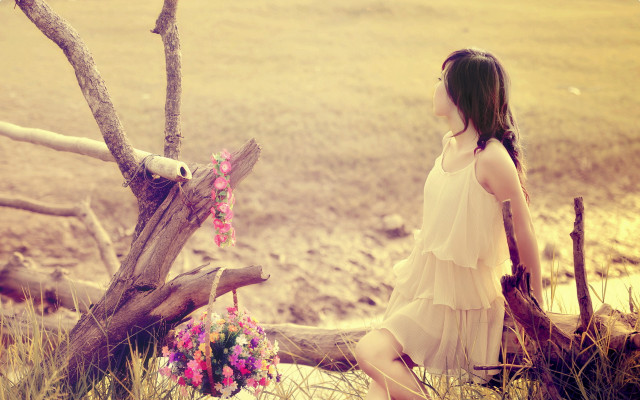 Woman log tree flowers bird free wallpaper for desktop - medium preview image