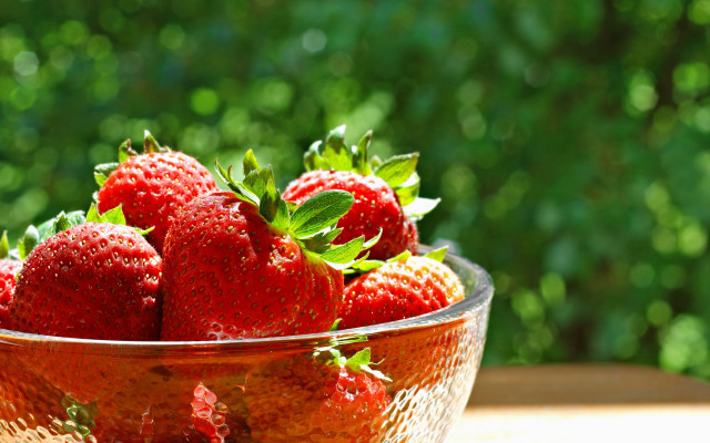 Strawberries bowl outdoor sun blurry free wallpaper for desktop - medium preview image