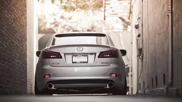 Narrow alleycar tree person vroom free wallpaper for desktop - medium preview image