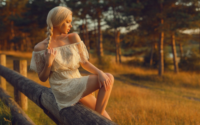 Woman fence dress braids field free wallpaper for desktop - medium preview image