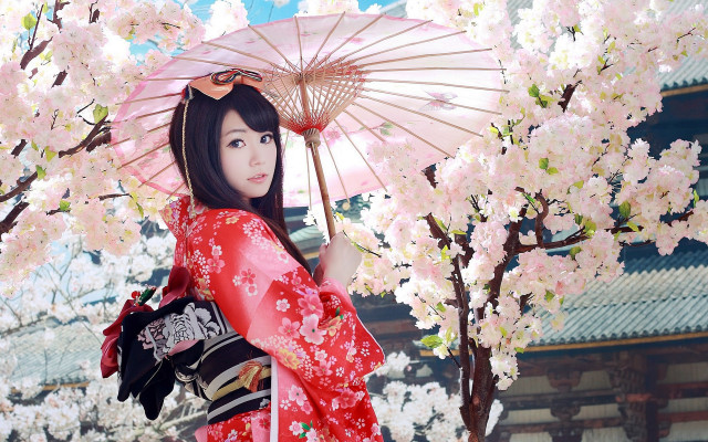 Kimono pink umbrella cherry blossoms free wallpaper for desktop - medium preview image