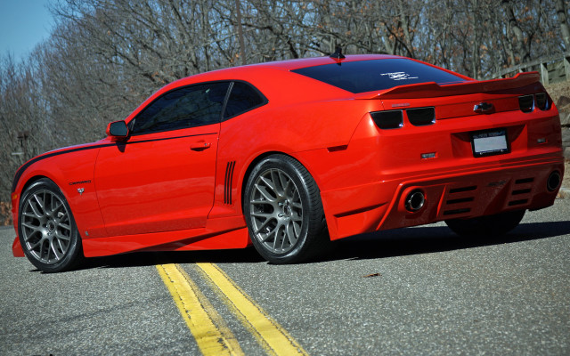 Red sports car road tree free wallpaper for desktop - medium preview image