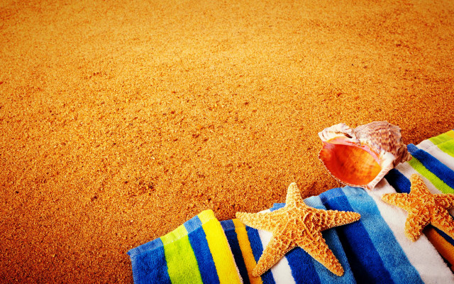Starfish towel beach shell summer free wallpaper for desktop - medium preview image