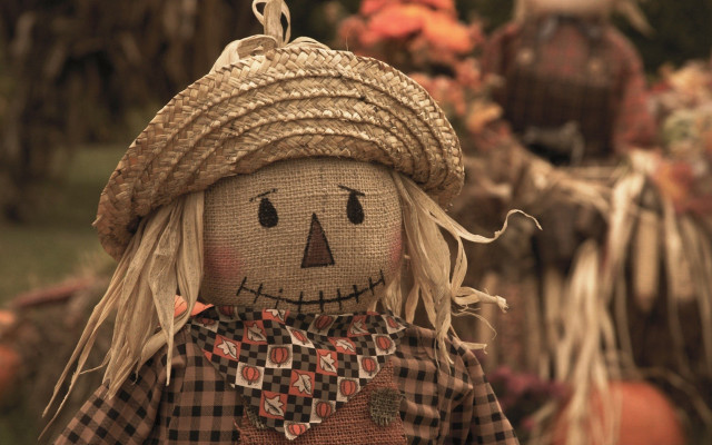 Scarecrow doll straw hat plaid free wallpaper for desktop - medium preview image