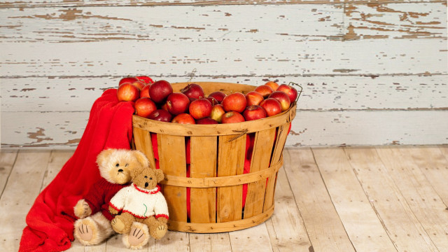 Teddy bear basket apples wooden free wallpaper for desktop - medium preview image