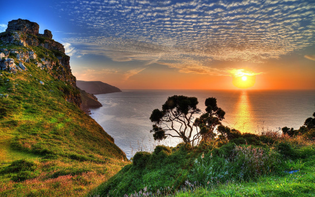 Sunset water cliff tree city free wallpaper for desktop - medium preview image