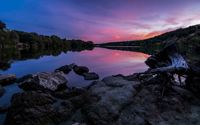 Lake rocks tree stump sunset free wallpaper for desktop - medium preview image