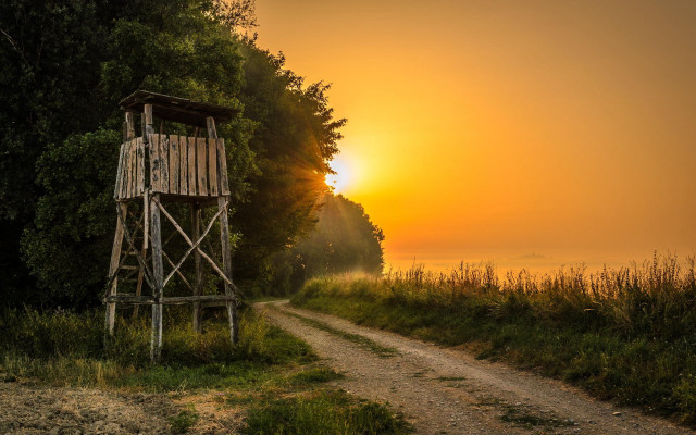 Wooden tower dirtroad forest sunset free wallpaper for desktop - medium preview image