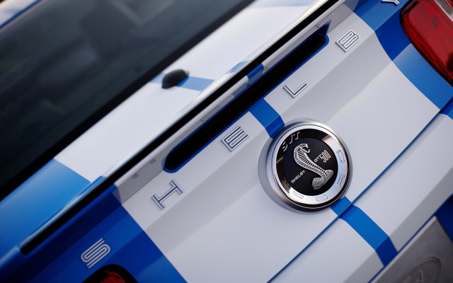 Police car badge snake emblem free wallpaper for desktop - medium preview image