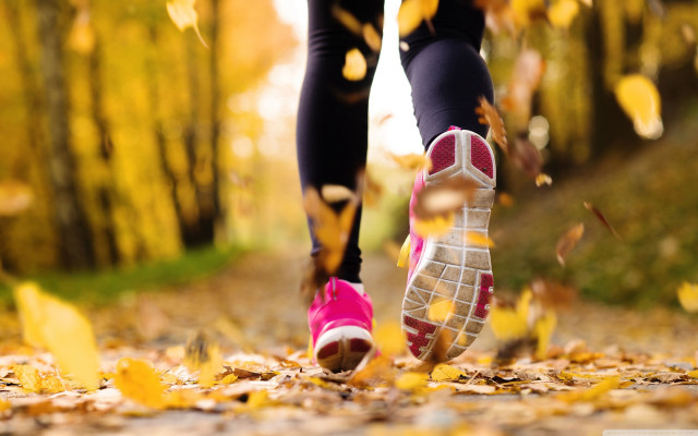 Person pink shoes leaves woods free wallpaper for desktop - medium preview image