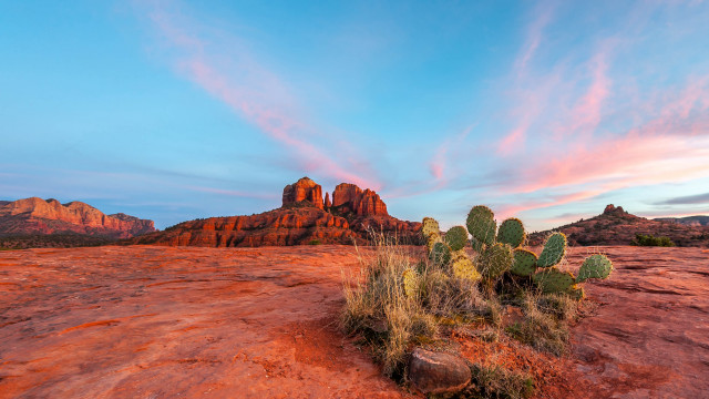 Cactus desert mountain sunset clouds free wallpaper for desktop - medium preview image