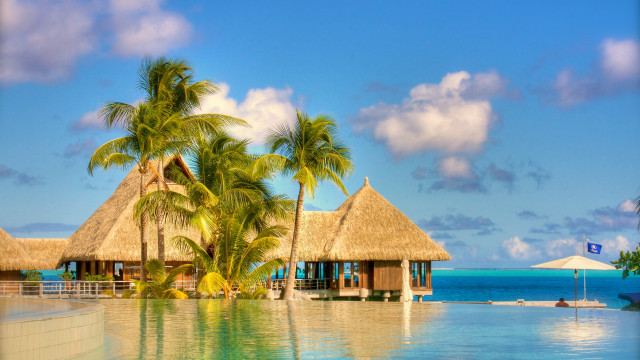 Resort pool palm trees beach #3 free wallpaper for desktop - medium preview image