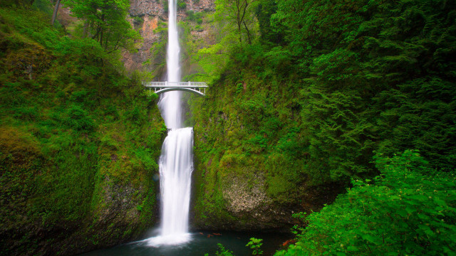 Waterfall bridge river forest nature #2 free wallpaper for desktop - medium preview image