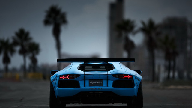 Blue sports car palm trees #4 free wallpaper for desktop - medium preview image