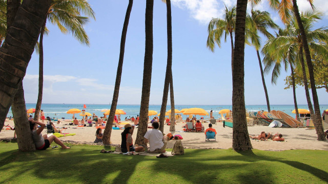 Palm trees beach group sitting free wallpaper for desktop - medium preview image