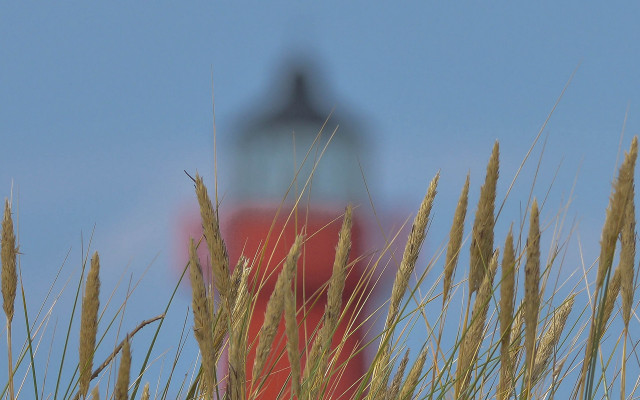 Red lighthouse tall grass blue free wallpaper for desktop - medium preview image