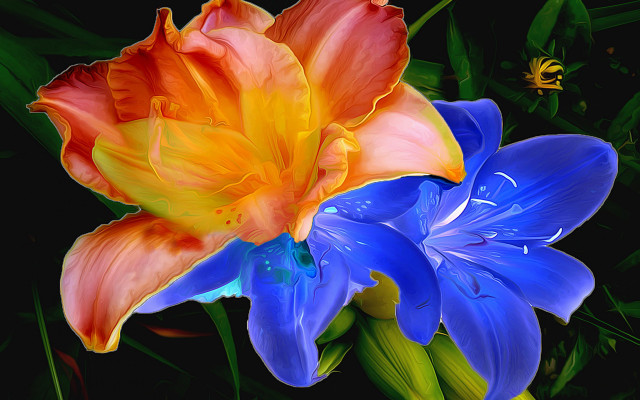 Flower bee deepgreen leaves yellowblue free wallpaper for desktop - medium preview image