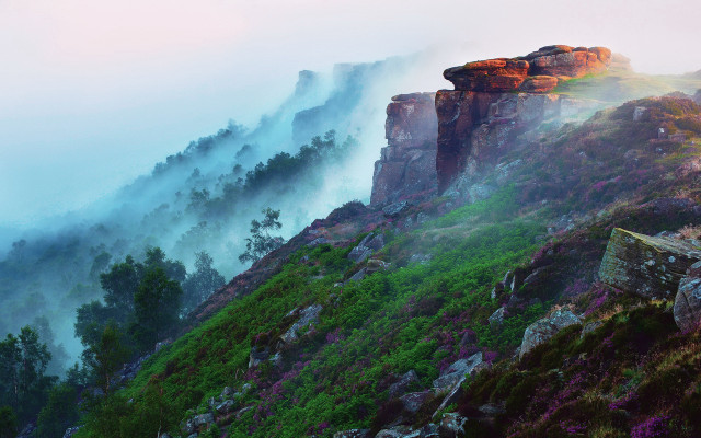 Mountain cliff foggy nature forest free wallpaper for desktop - medium preview image