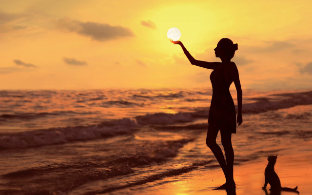 Woman beach sunset frisbee cat free wallpaper for desktop - medium preview image