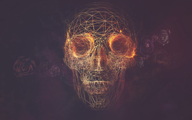 Skull wireframe face eyes artistic free wallpaper for desktop - medium preview image