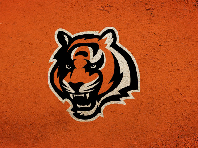 Tiger head wall black orange free wallpaper for desktop - medium preview image
